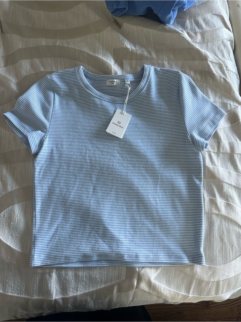 Aritzia Sunday Best Little Ribbed Tee